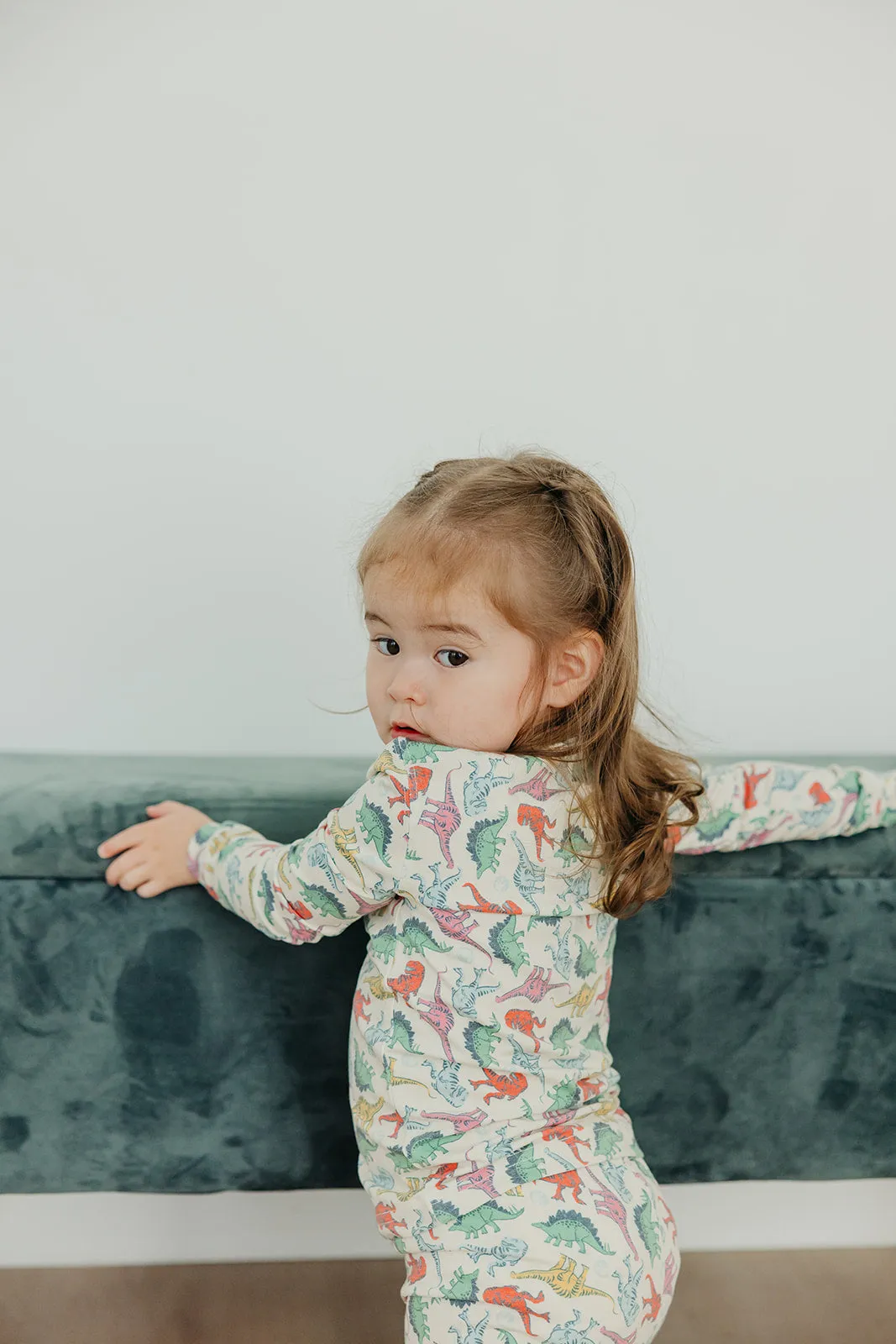 2pc Long Sleeve Pajama Set - Dinosaurs of Jurassic Park