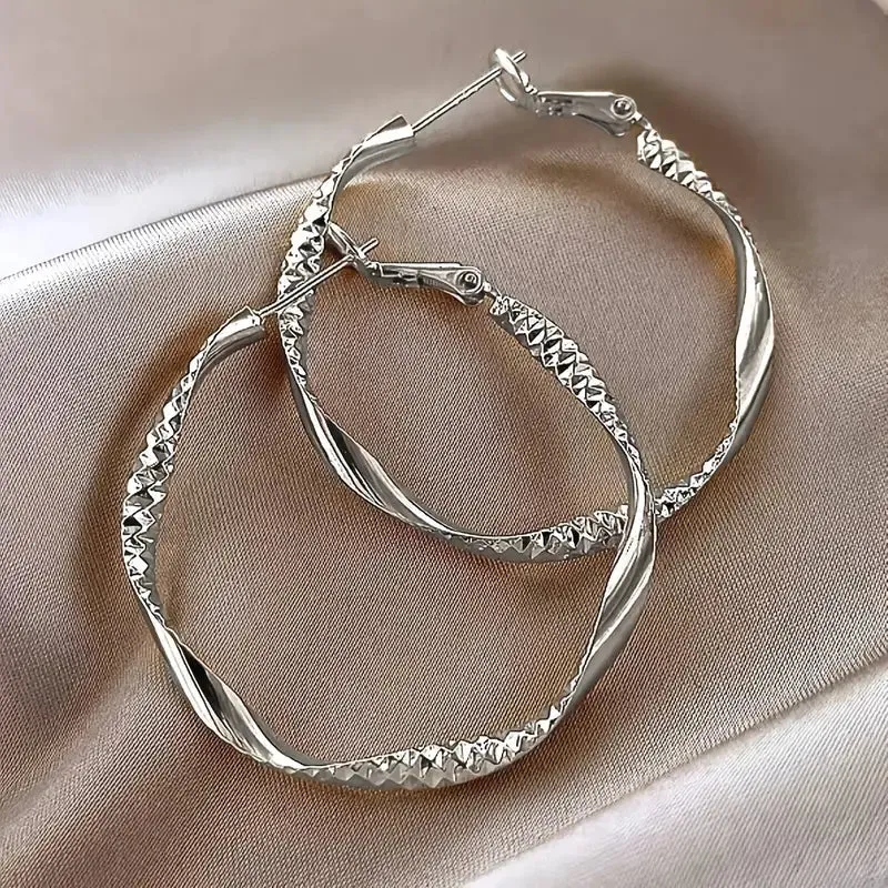 Delicate Silky Texture Design Women's Earrings