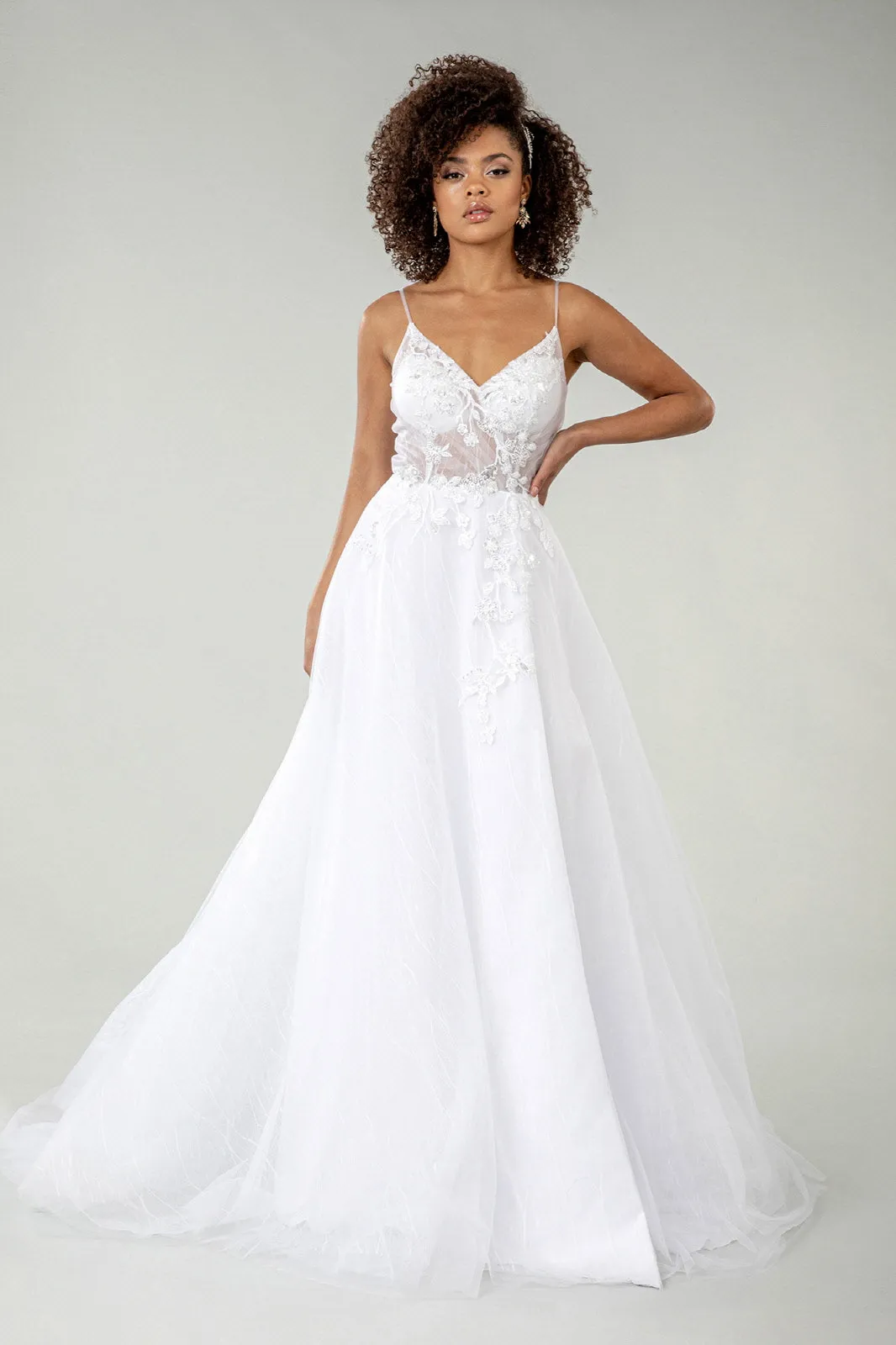 Embroidered Sheer Bodice V-Neck Wedding Gown with Tail