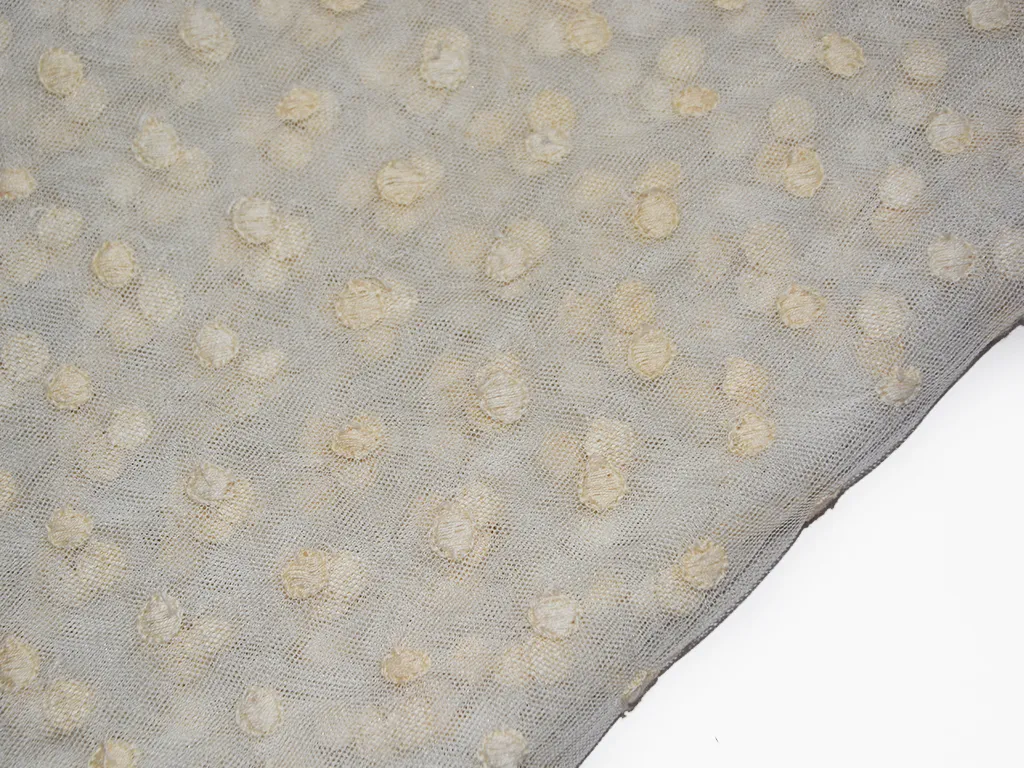 Off White Schiffli Embroidered Premium Net Fabric
