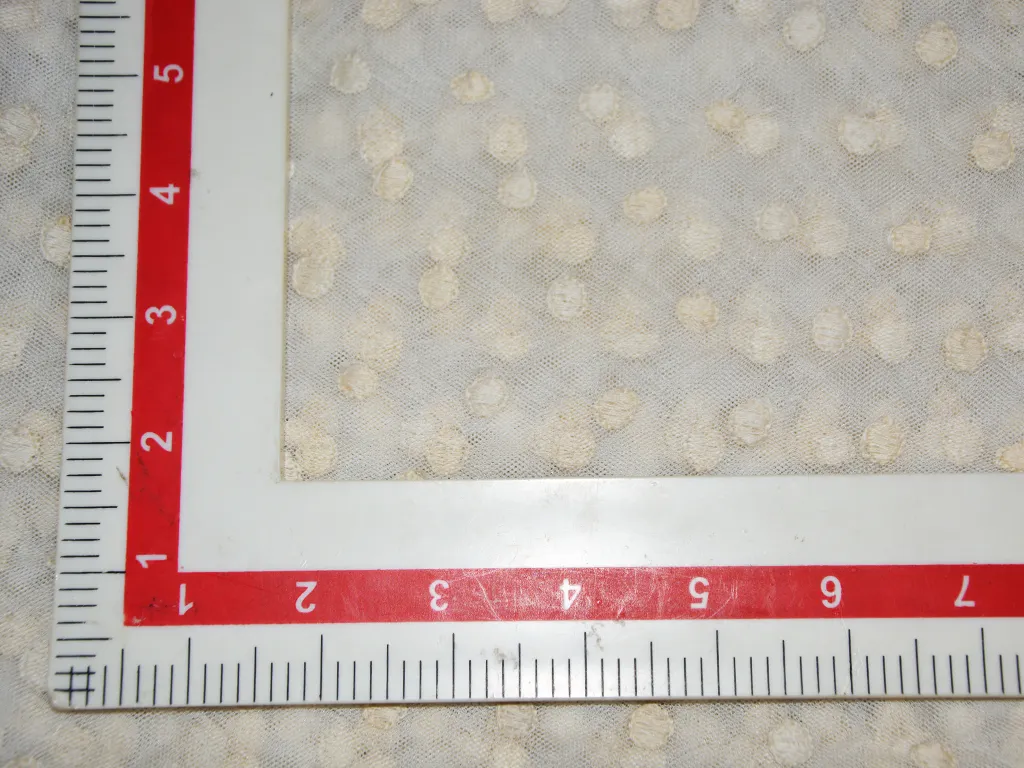 Off White Schiffli Embroidered Premium Net Fabric