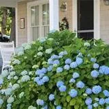 Periwinkle Blue Pajamas