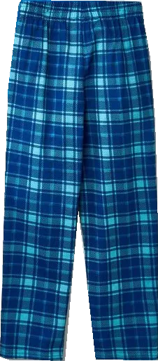 "Dear Santa I can Explain" Slogan Printed Blue Plaid Family Matching Pajamas